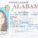 albama driving license