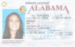 albama driver license