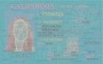 california driver license new