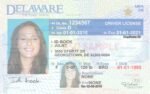 idaho driving license