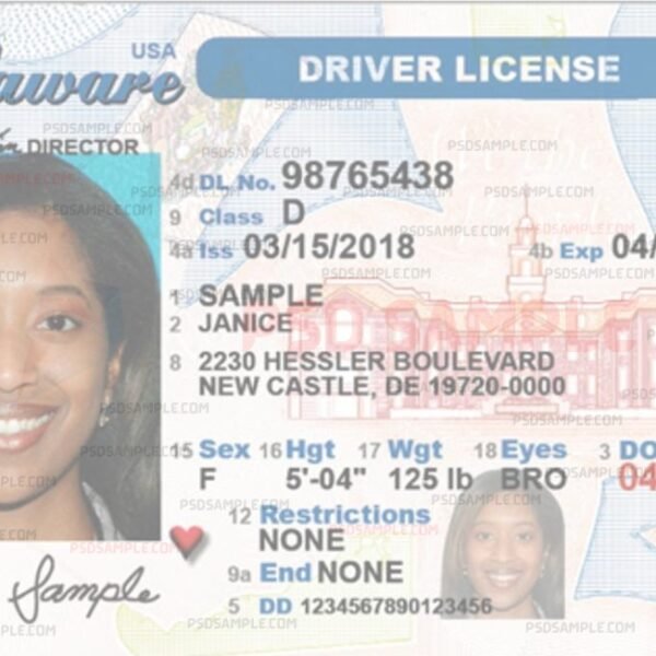 delaware driving license new