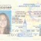 lauisiana driving license