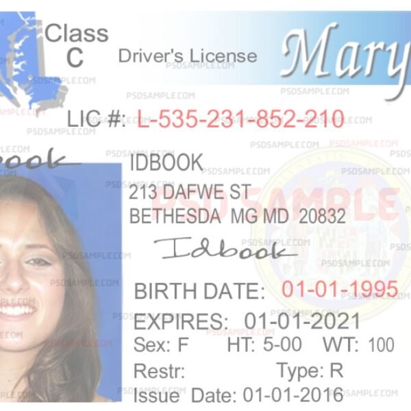 maryland driver license